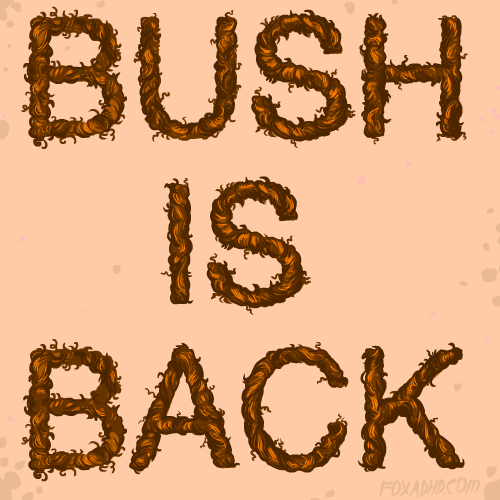 bush is back gif