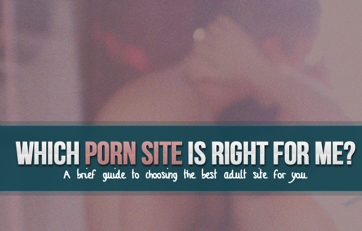 best porn sites infographics