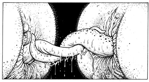 symbios erotic illustration